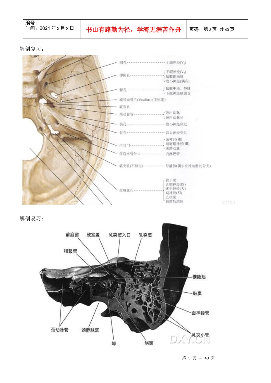 桥小脑角占位性病变诊断与鉴别_第3页