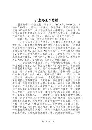 计生办工作总结