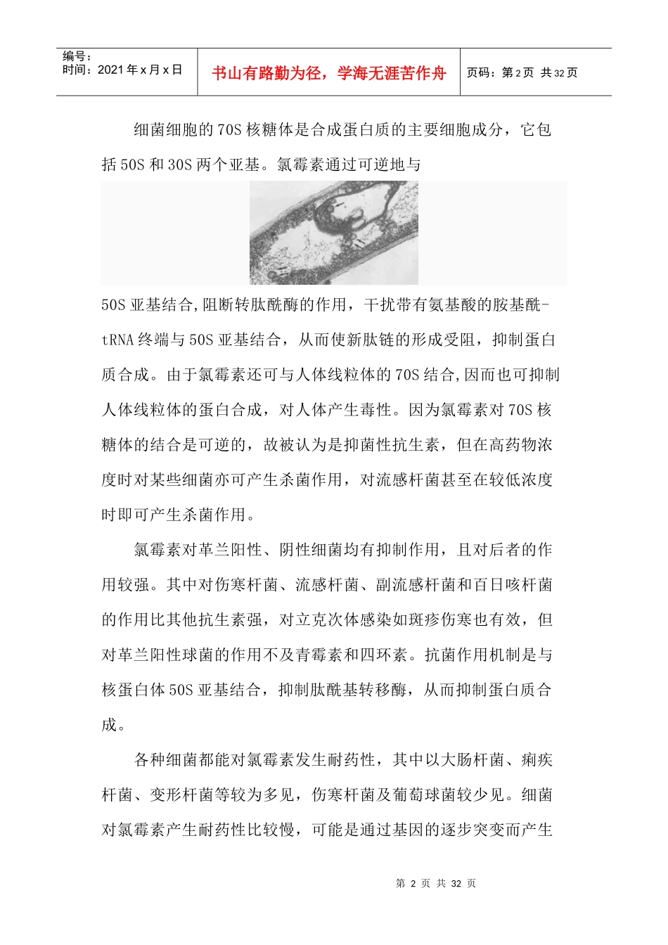 氯霉素的研究发展课程_第2页