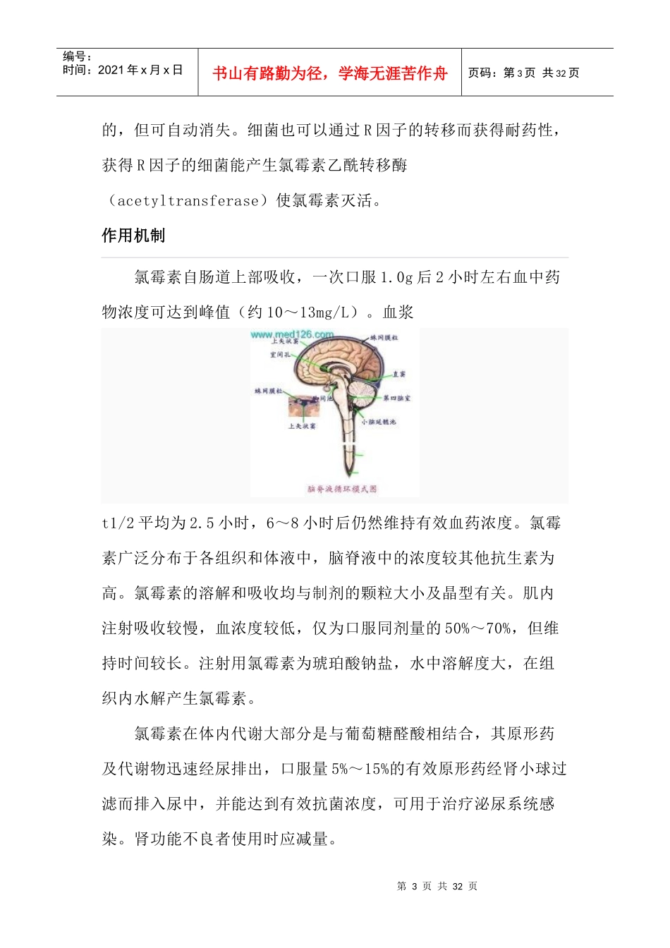 氯霉素的研究发展课程_第3页