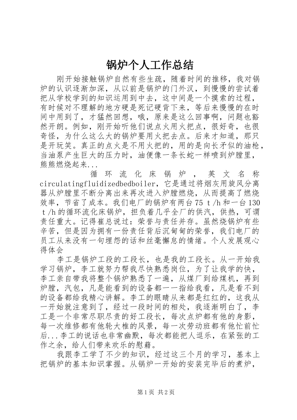 锅炉个人工作总结_第1页