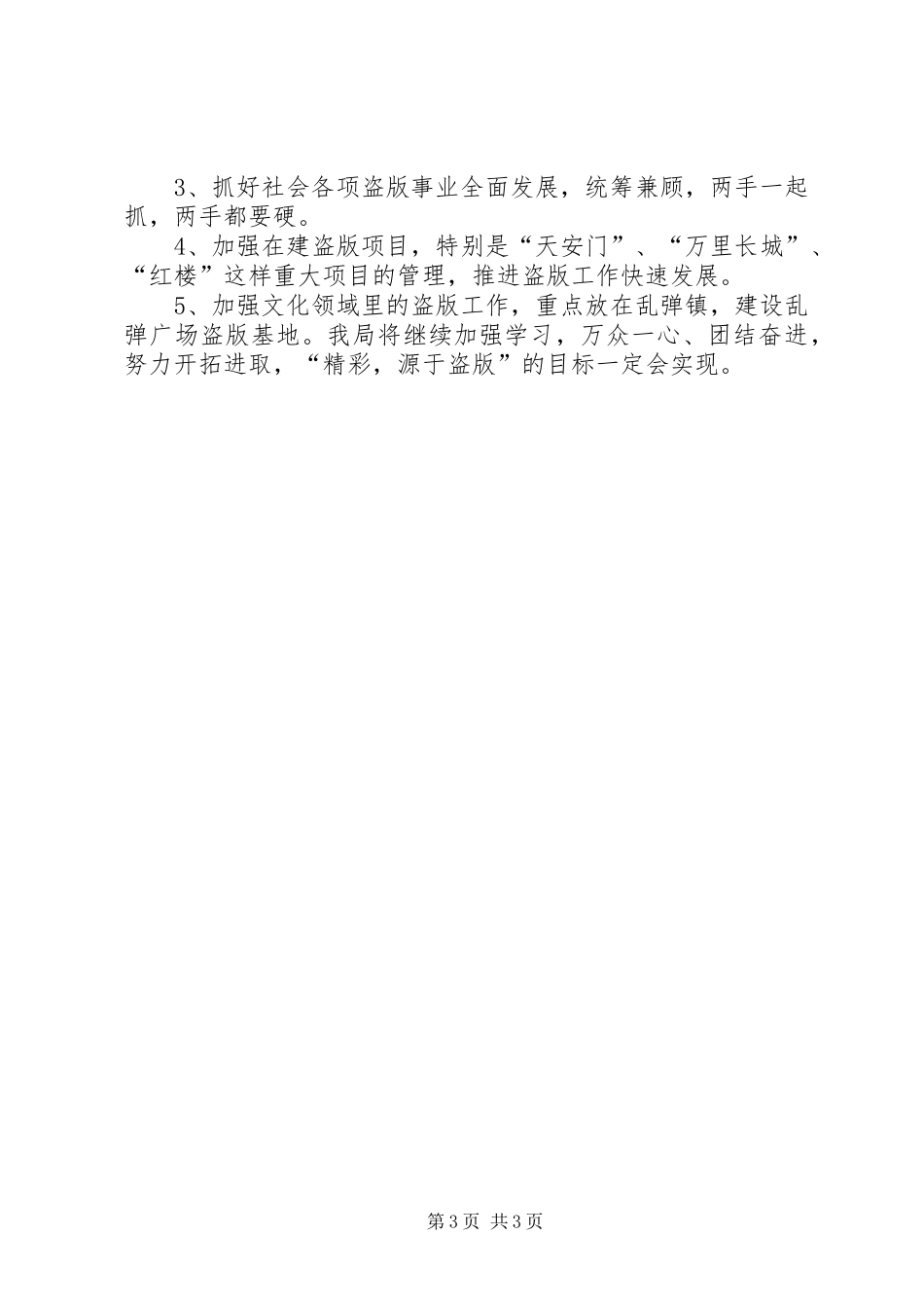 盗版局工作总结_第3页