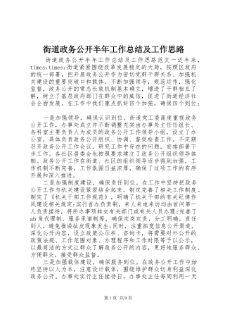 街道政务公开半年工作总结及工作思路