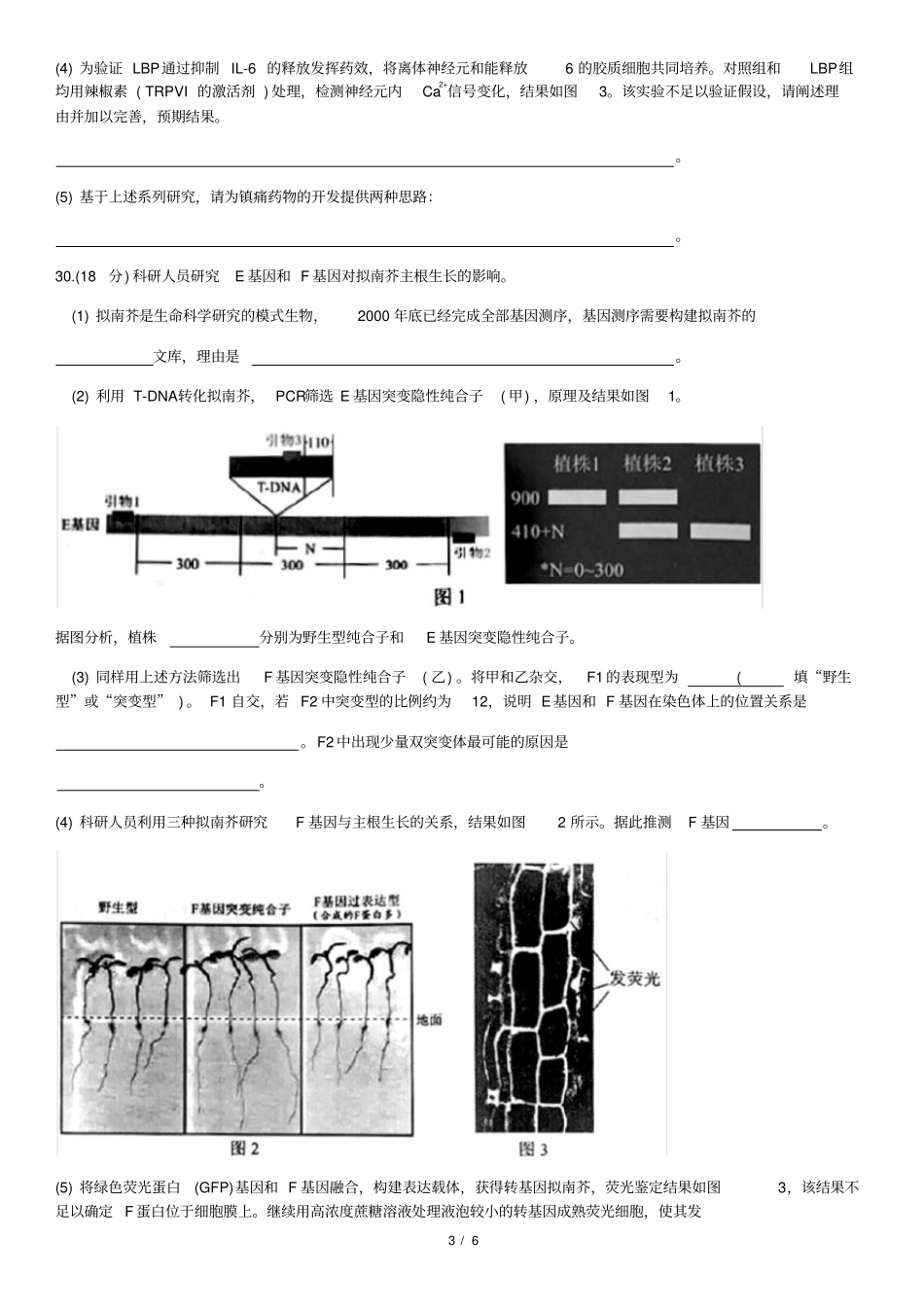 (完整版)2019高三西城一模生物试题及答案_第3页