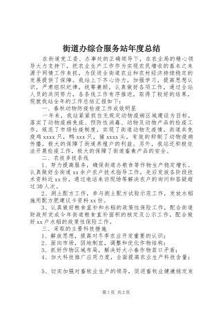 街道办综合服务站年度总结