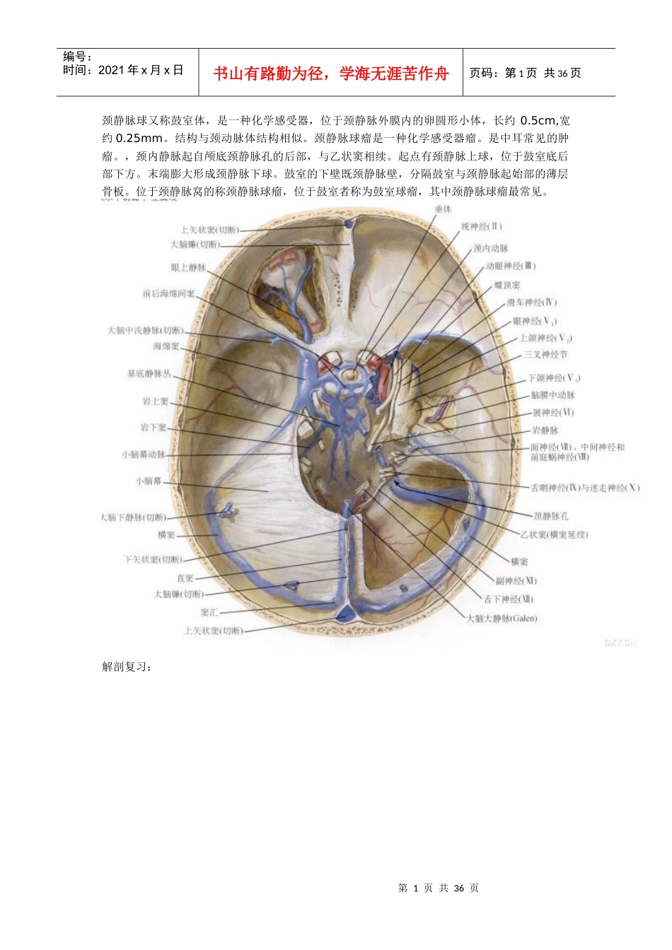 桥小脑角区肿瘤性病变的影像鉴别诊断_第1页