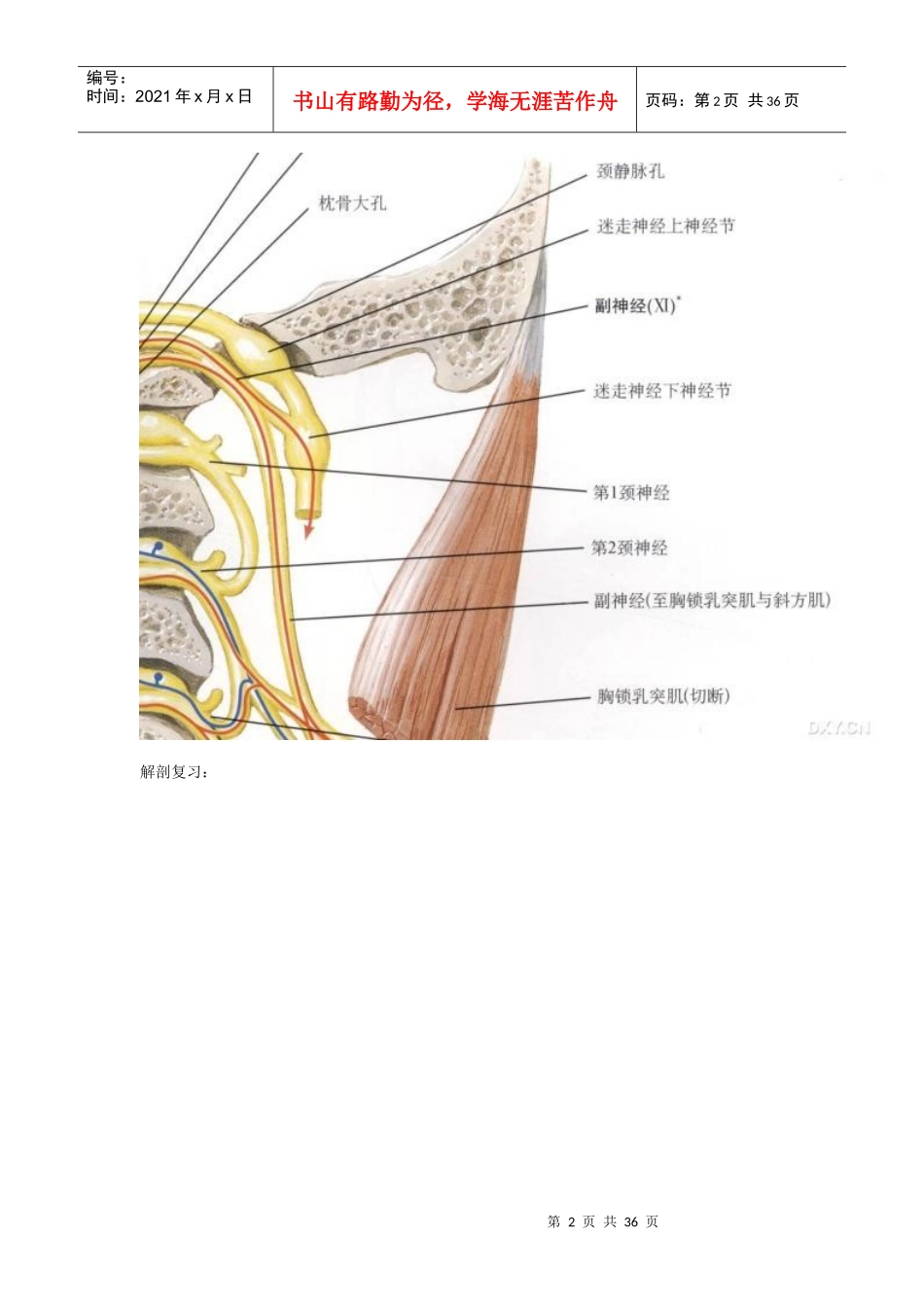 桥小脑角区肿瘤性病变的影像鉴别诊断_第2页