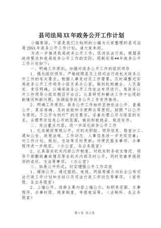 县司法局政务公开工作计划