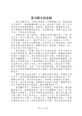 见习班主任总结