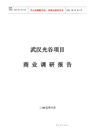 武汉光谷项目商业调研报告
