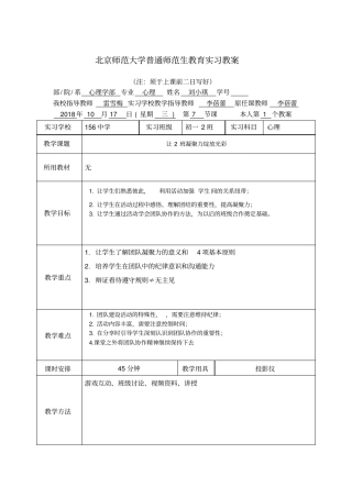 北京师范大学普通师范生教育实习教案