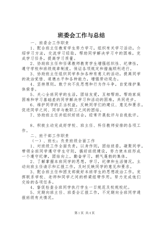 班委会工作与总结