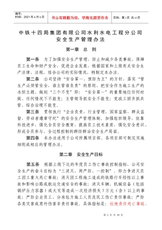 水电公司安全生产管理办法