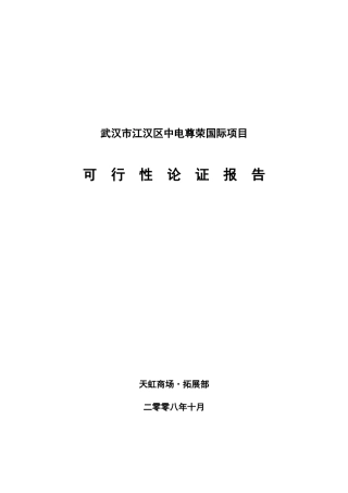 武汉某国际项目可行性论证报告