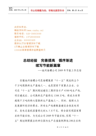 池州某公司年度节能工作总结