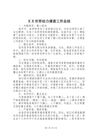 ＸＸ市劳动力调查工作总结