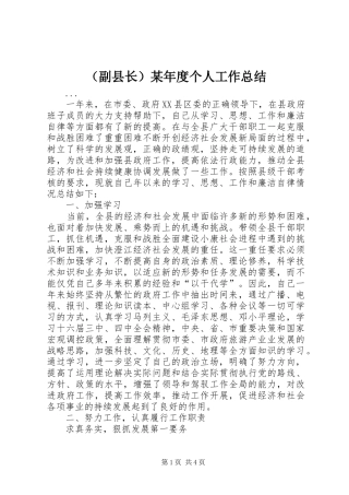 （副县长）某年度个人工作总结