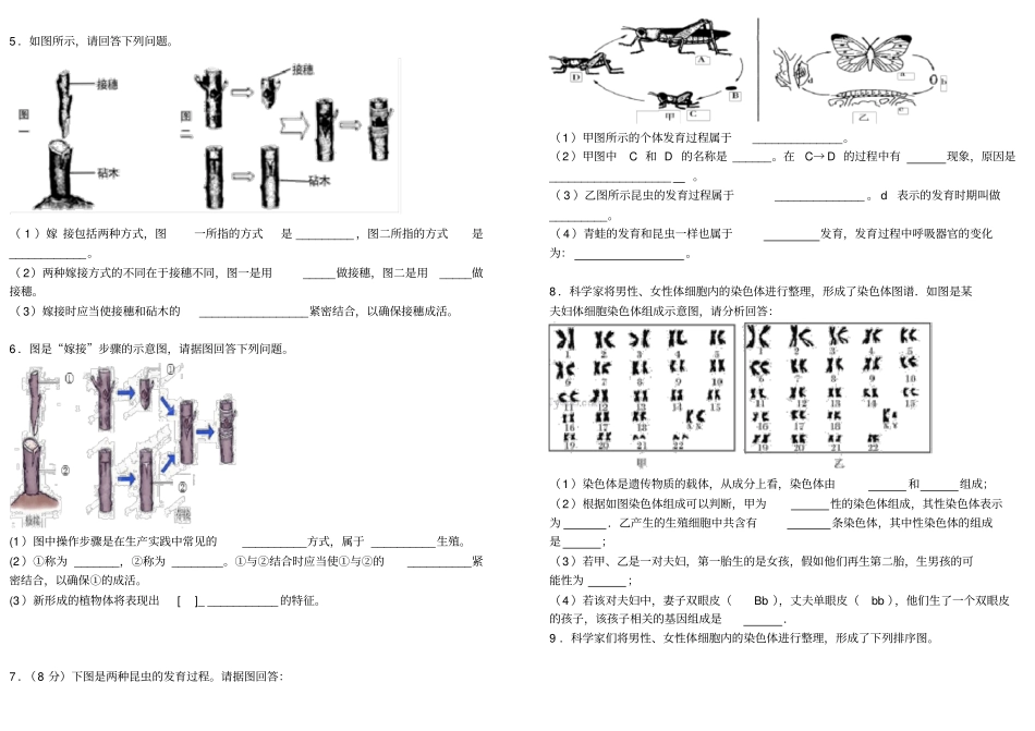 八年级生物(下册)识图题_第2页