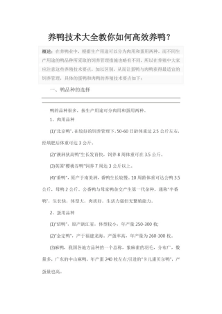 养鸭技术大全教你如何高效养鸭