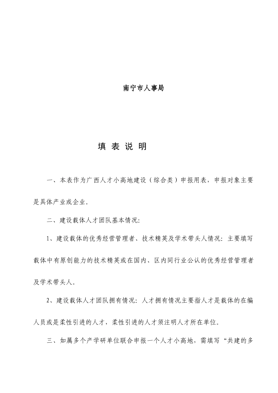 南宁市人才小高地建设申报表(综合类)_第2页