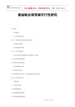 武汉鹿迪鞋业商贸城可行性研究-36DOC
