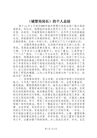 （城管局局长）的个人总结