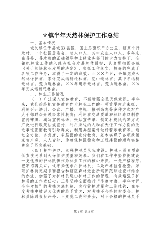 ＊镇半年天然林保护工作总结
