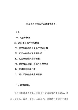 武汉市房地产市场调查报告