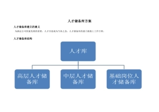 人才储备库方案(1)