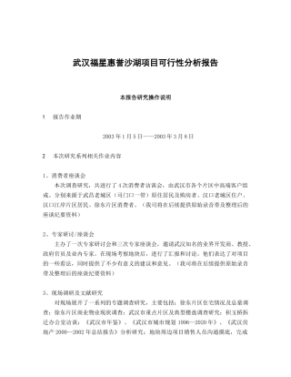 武汉某项目可行性分析报告