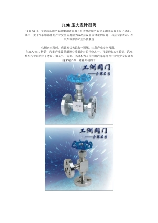 人力资源-j19h压力表针型阀