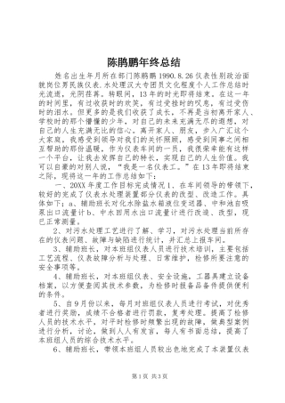 陈鹃鹏年终总结