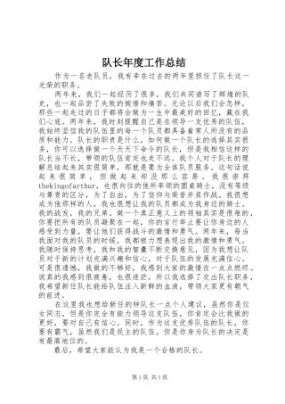 队长年度工作总结