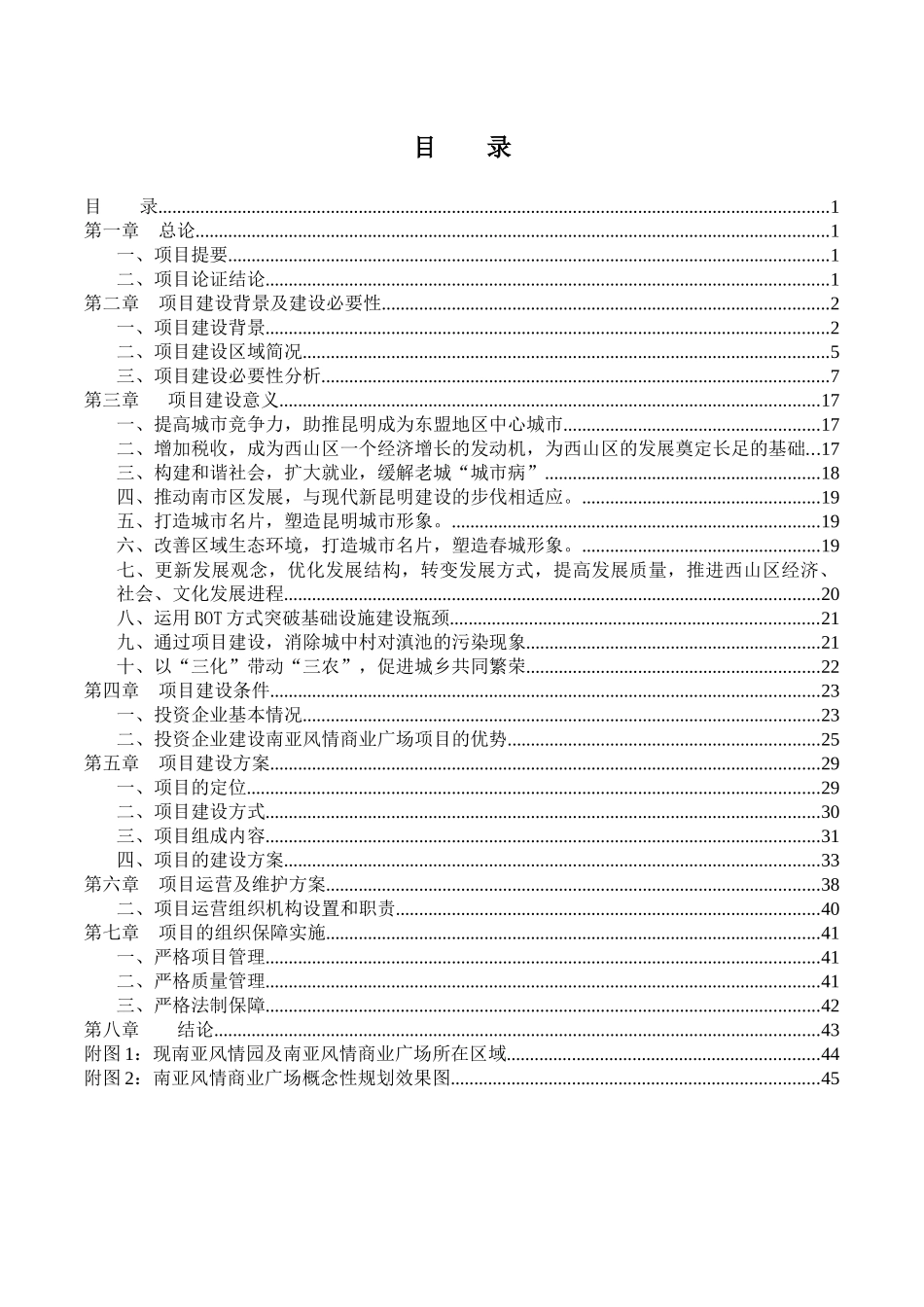 云南昆明南亚风情商业广场可行性研究_第2页