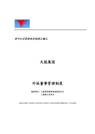 母子公司管控体系制度汇编之天能集团外派董事管理制度
