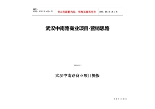 武汉中南路商业项目营销思路