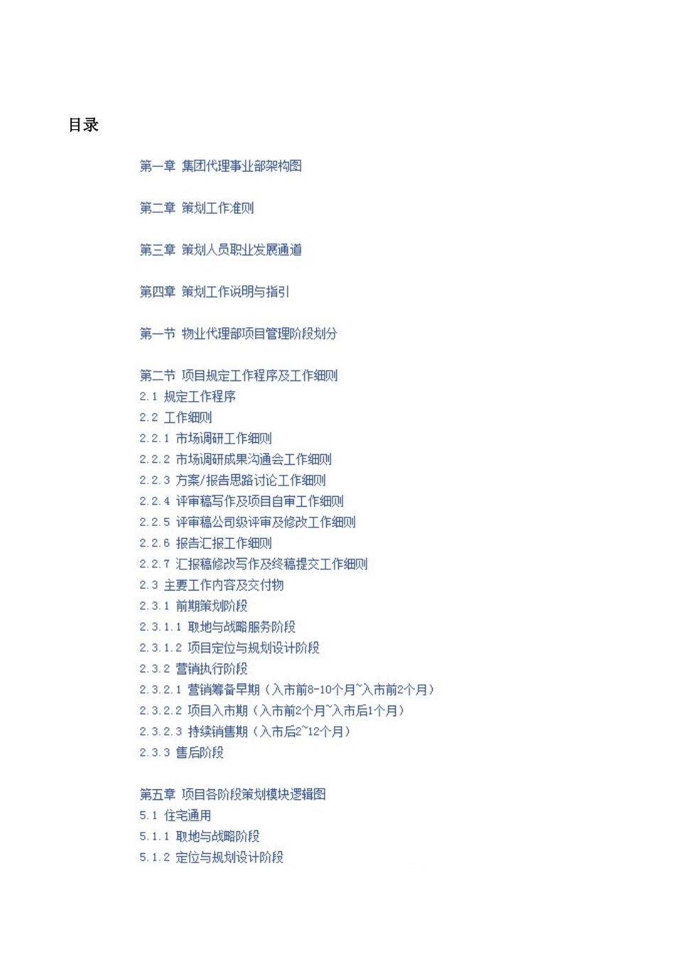 世联策划工作手册_第2页