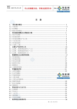 江西某鞋业有限公司项目可研报告_secret