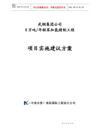 武钢集团公司项目实施建议方案
