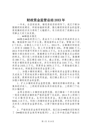 财政资金监管总结20XX年