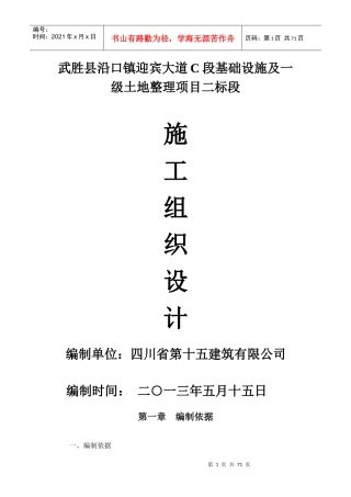 武胜县沿口镇迎宾大道C段基础设施及一级土地整理项目二