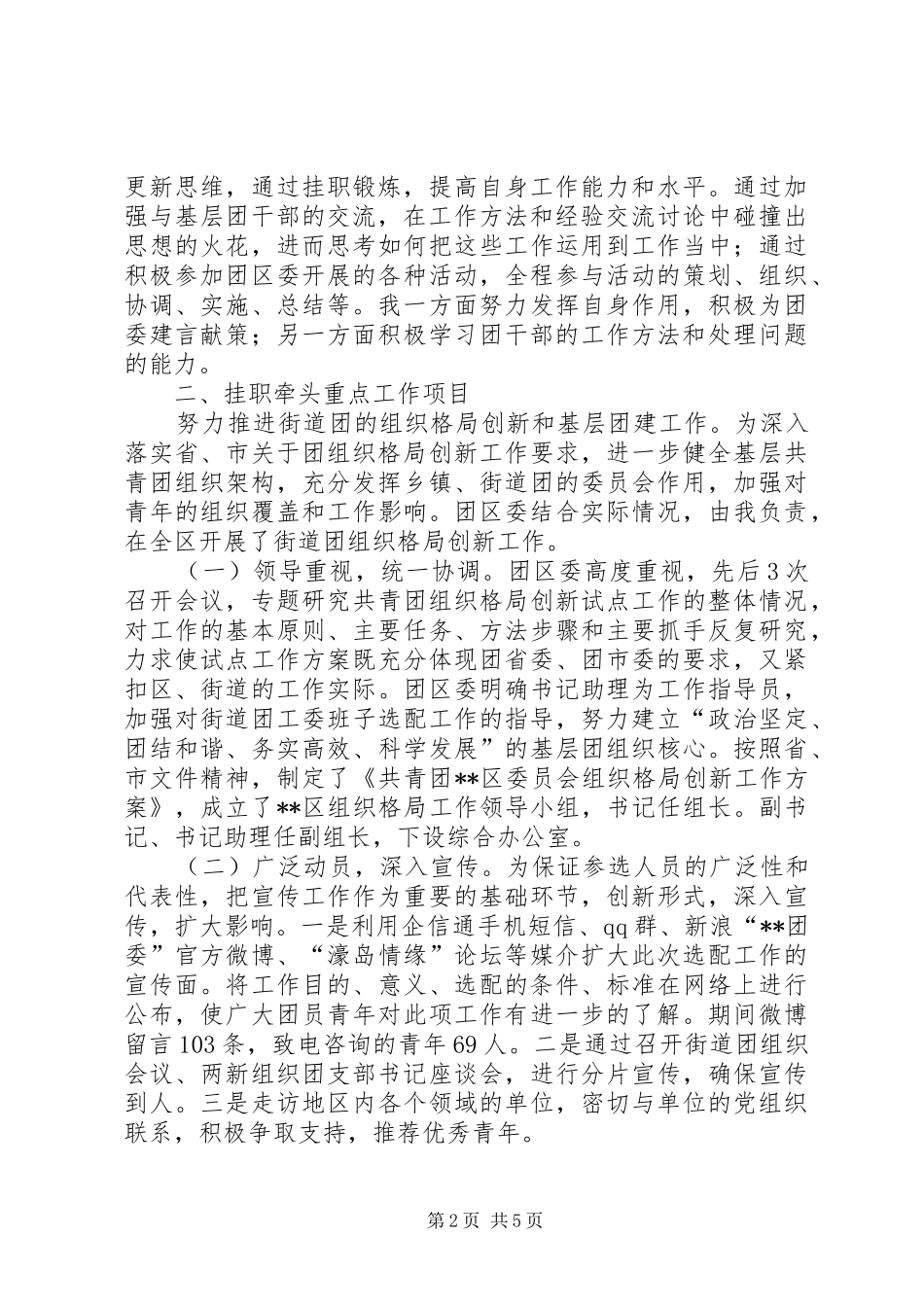 赴县级团委挂职锻炼个人工作总结_第2页