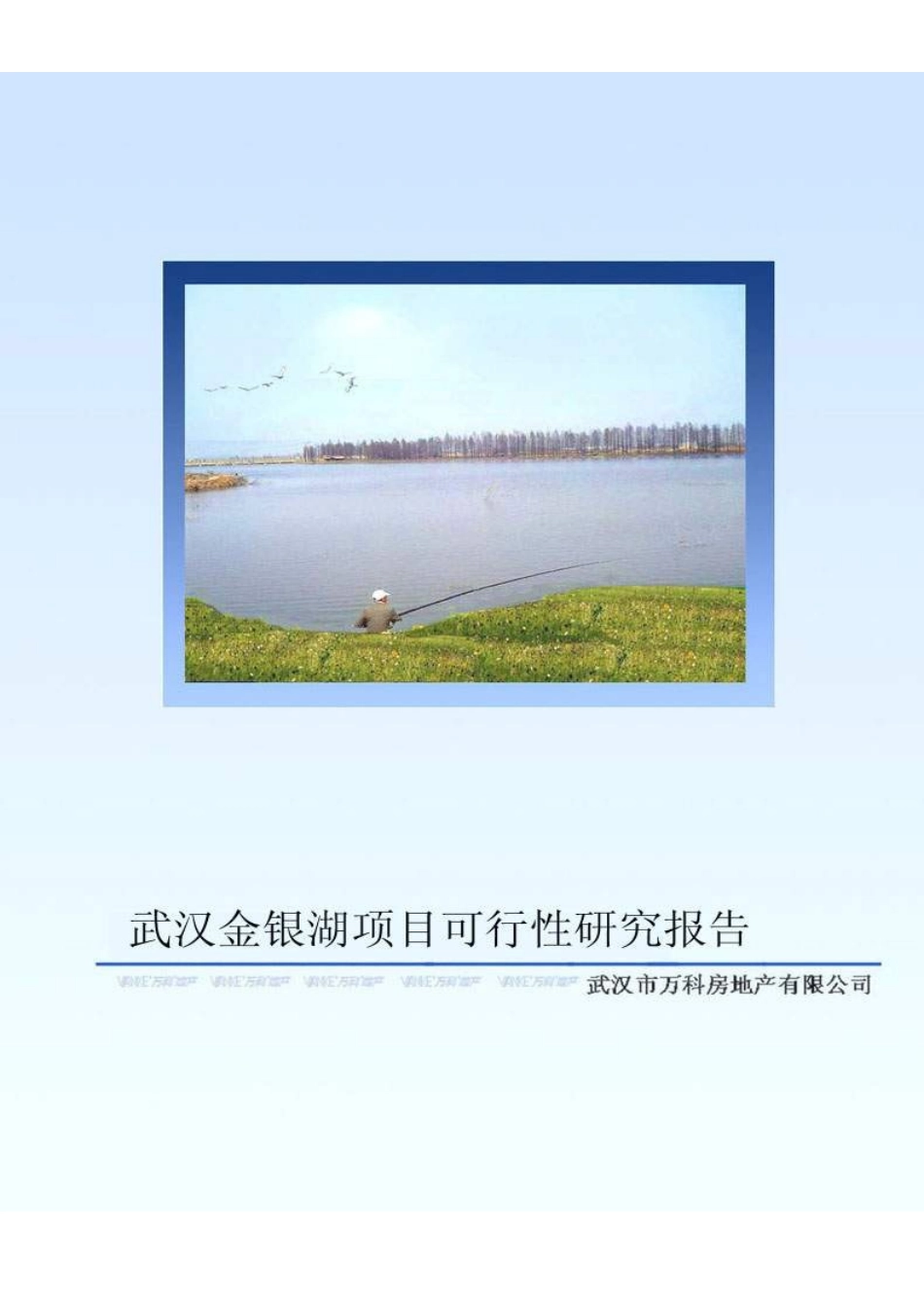 武汉某项目可行性研究报告_第1页