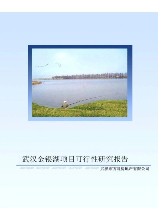 武汉某项目可行性研究报告