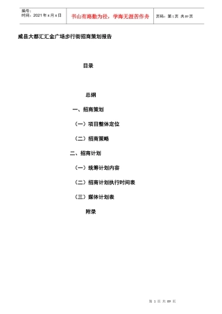 步行街招商业态组合及策划报告