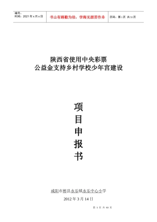 永乐中心校乡村学校少年宫项目申报书1