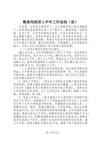 粮食局政府上半年工作总结（县）