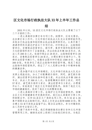 区文化市场行政执法大队上半年工作总结
