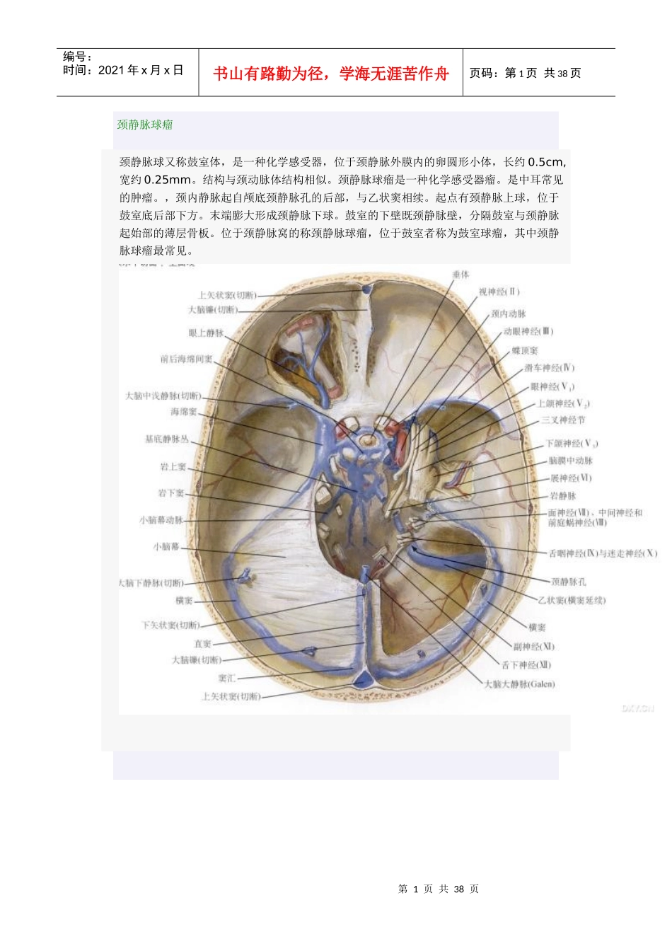 桥小脑角区占位性病变诊断与鉴别_第1页