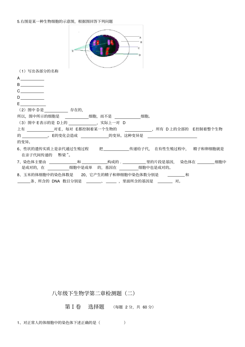 人教版八年级下册生物学第二章复习试题和复习资料_第3页